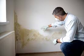 Best Attic Mold Removal  in Cuthbert, GA